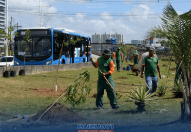 Canteiro central do BRT de Salvador recebe mudas de árvores frutíferas